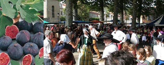 Fête de la figues MASDAZIL
