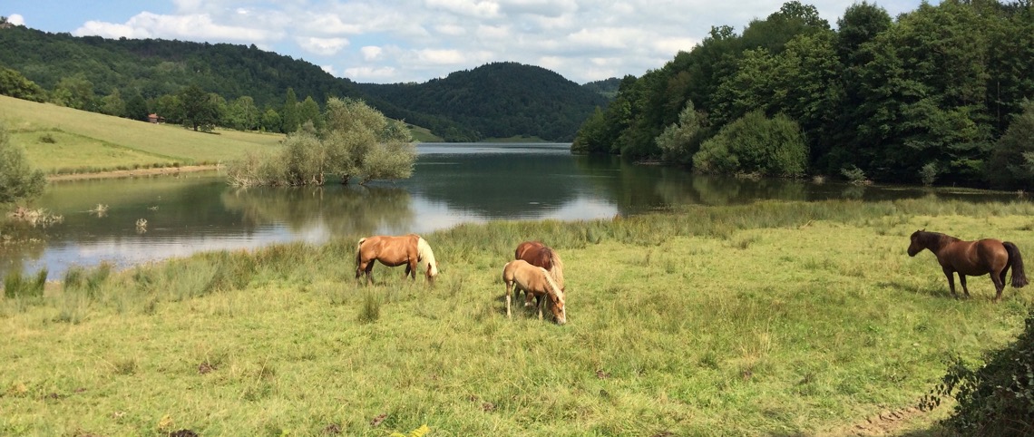 Le lac de Mondély